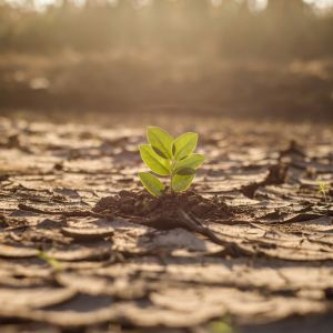 Klimaschutz im Unternehmen Vorschau